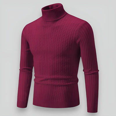 Didier™ - Pull homme élégant à col roulé